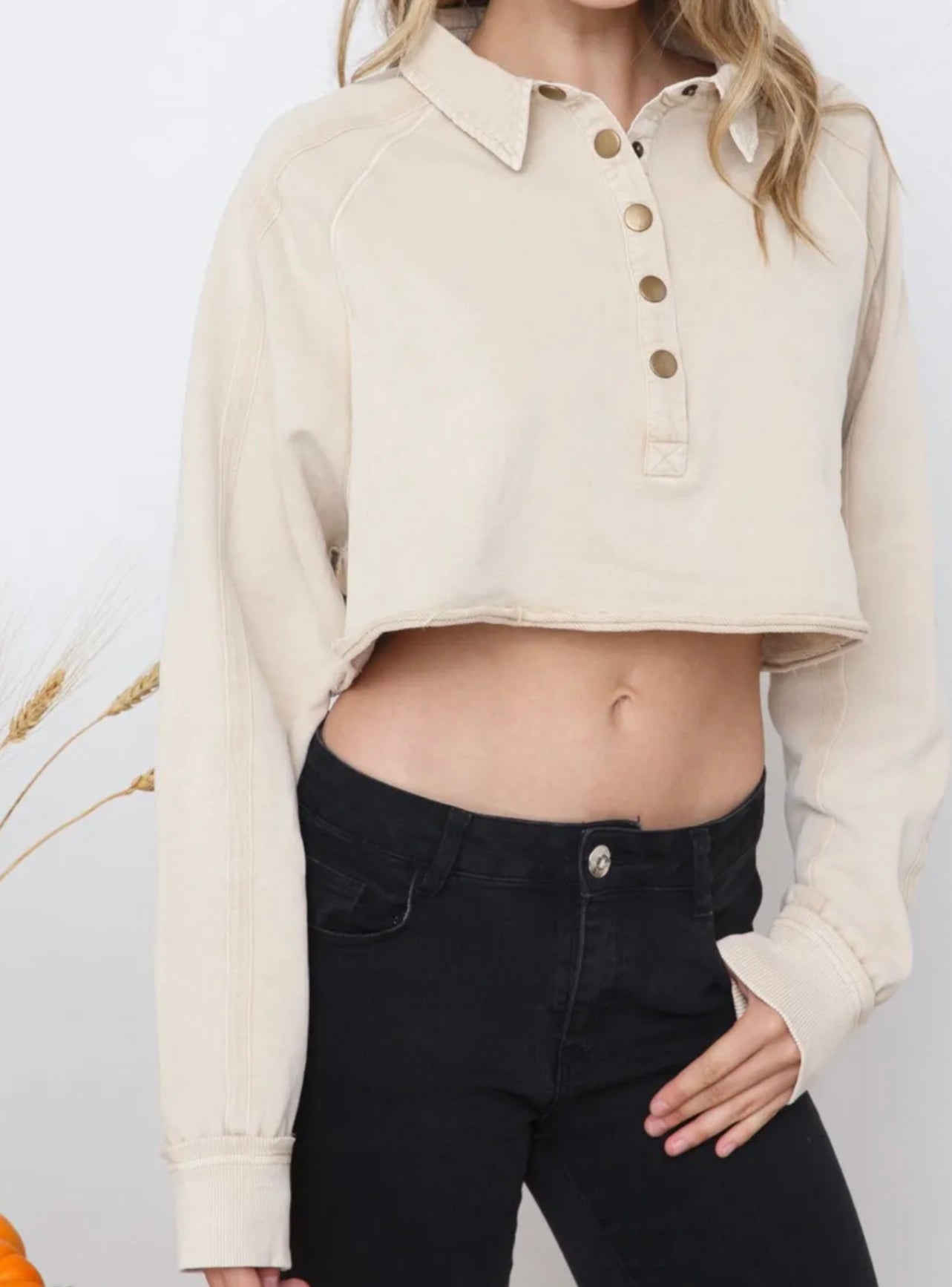 Cropped Sweatshirt Beige