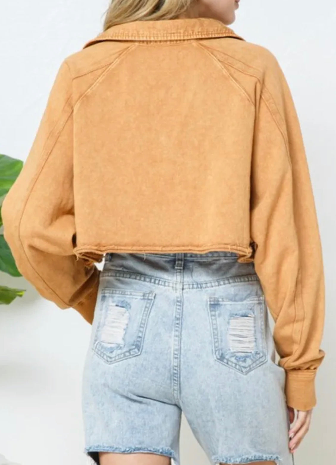 Cropped Sweatshirt Camel