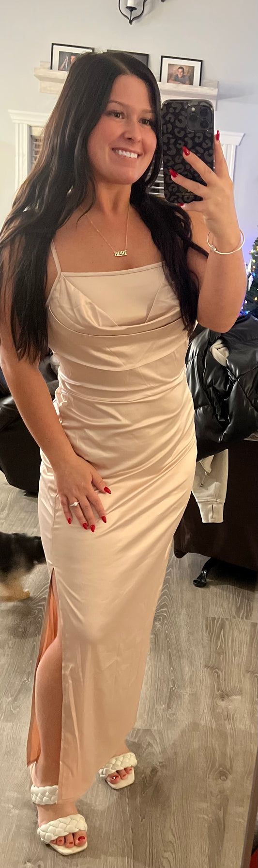 Champagne Nights Silk Dress